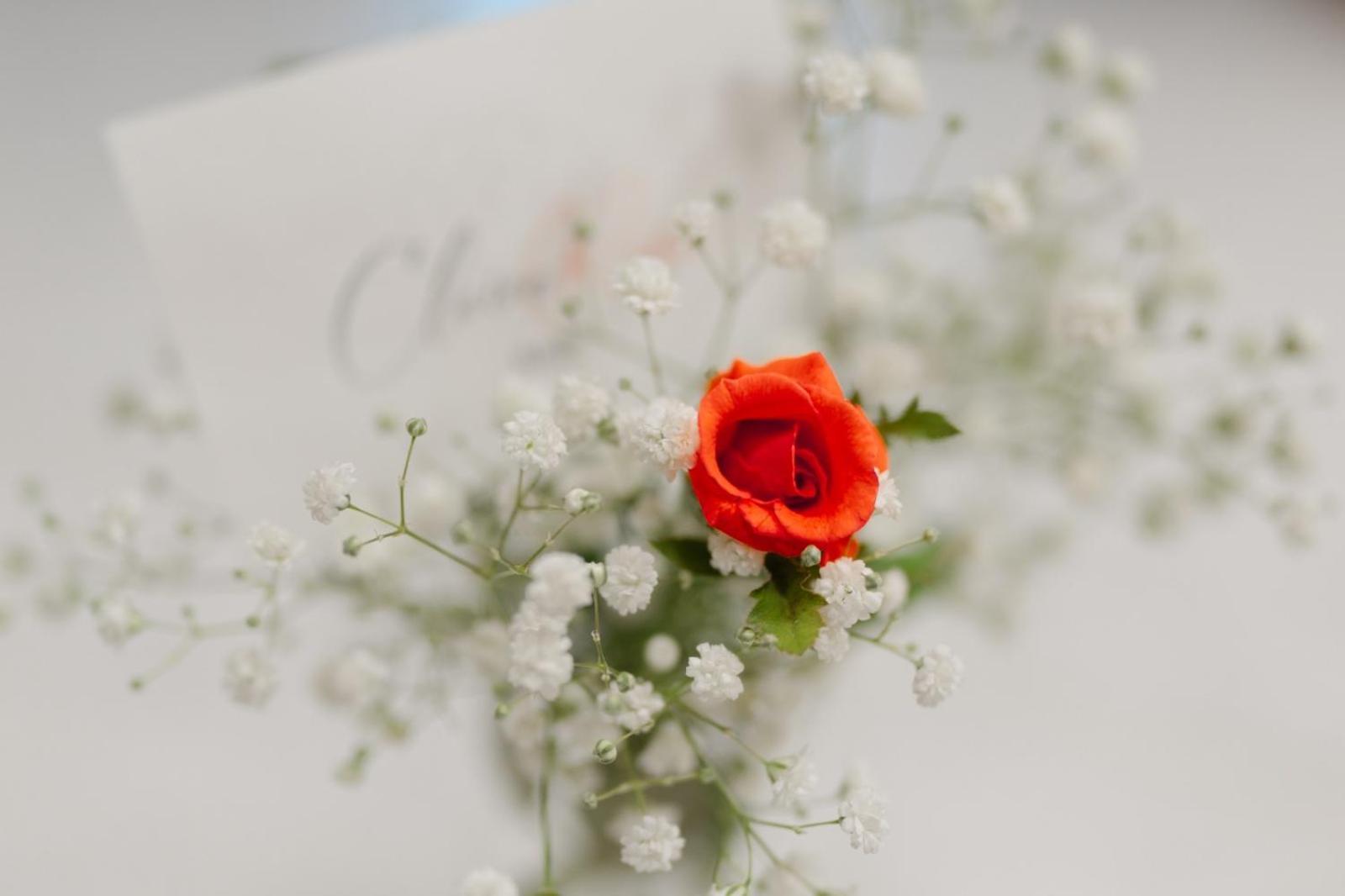 Claire Rose B&B Matera Luaran gambar