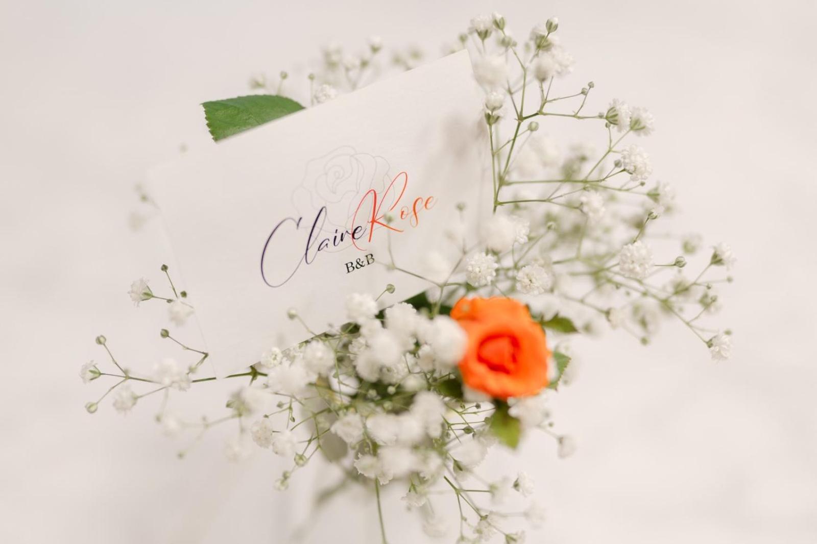 Claire Rose B&B Matera Luaran gambar